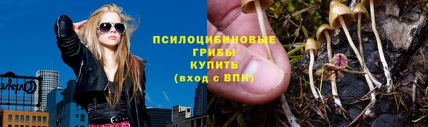 гидра Богородск