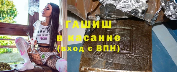 гидра Богородск