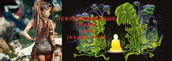 ешки Богородицк
